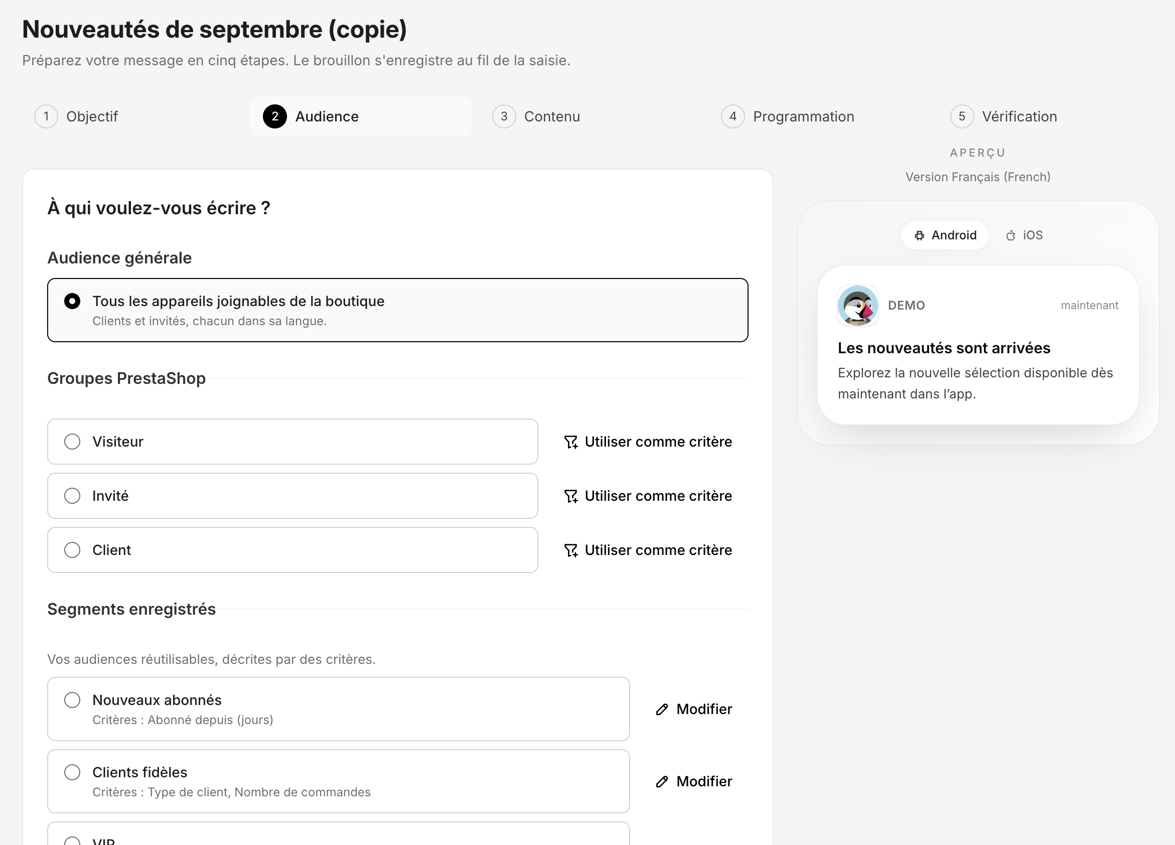 Second step when creating a push campaign: choose the audience